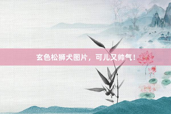 玄色松狮犬图片，可儿又帅气！
